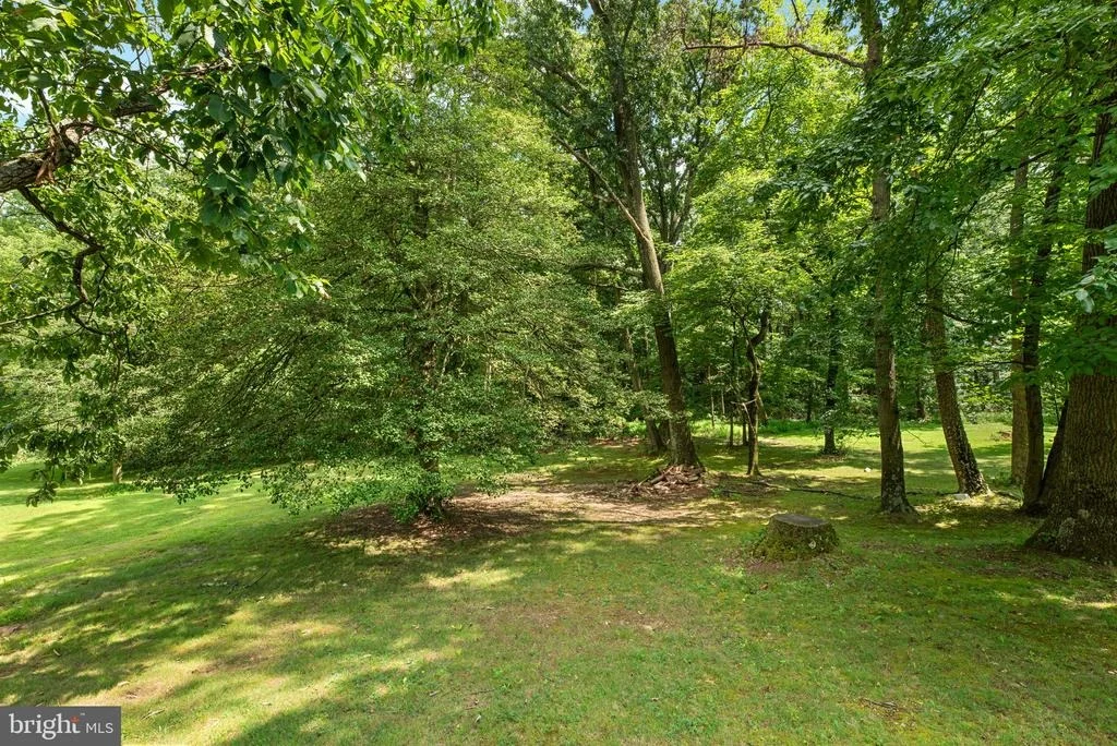 Photo of 7517 RACE ROAD