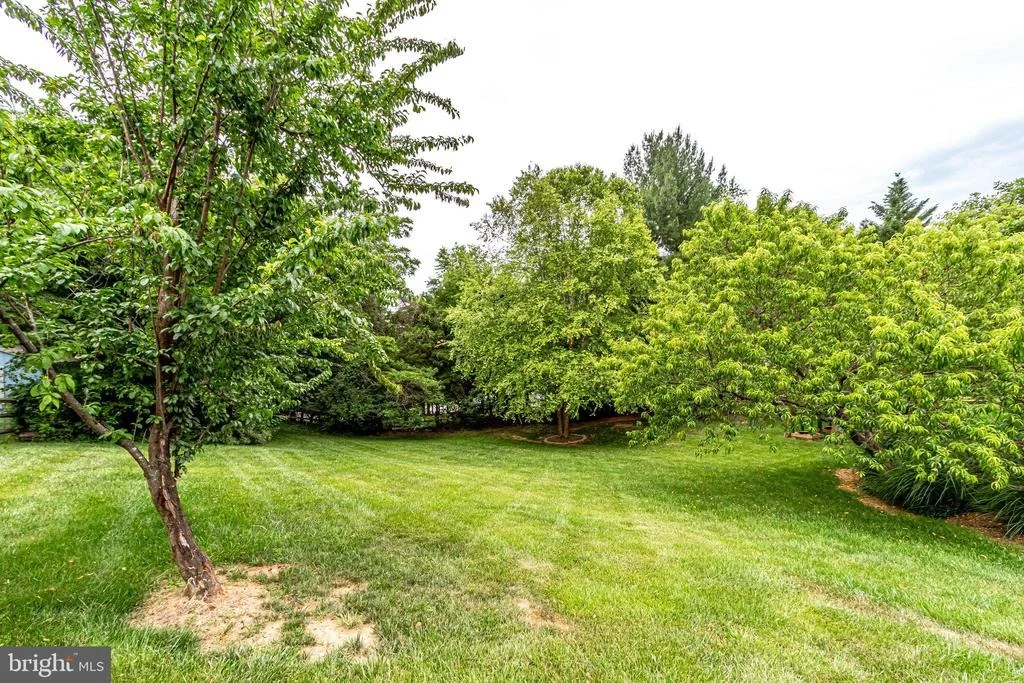 Photo of 1399 PARK LAKE DRIVE