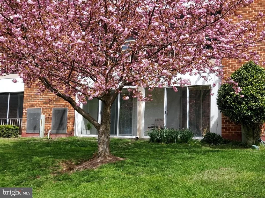 Photo of Unit 151D at 3500 FOREST EDGE DRIVE