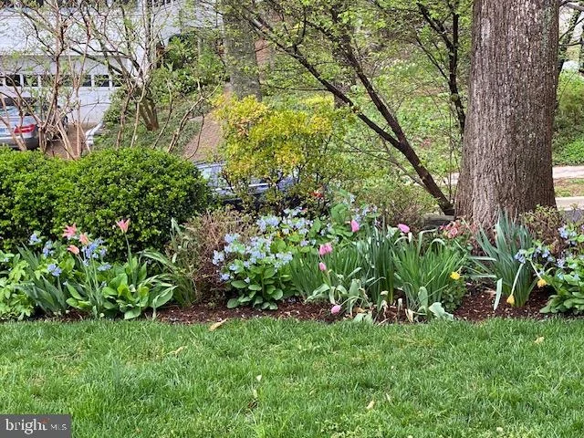 Photo of 7109 MEADOW LANE
