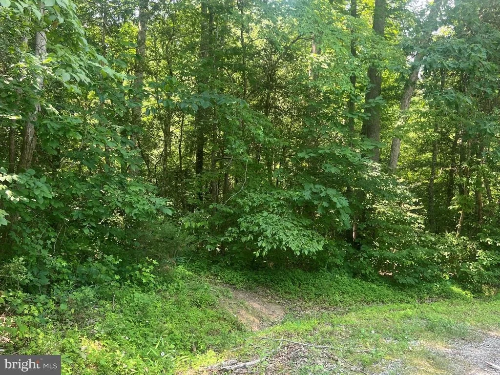 Photo of 5517 FOREST VIEW DRIVE