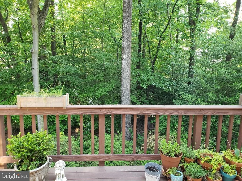 Photo of 7802 LAKELAND VALLEY DRIVE