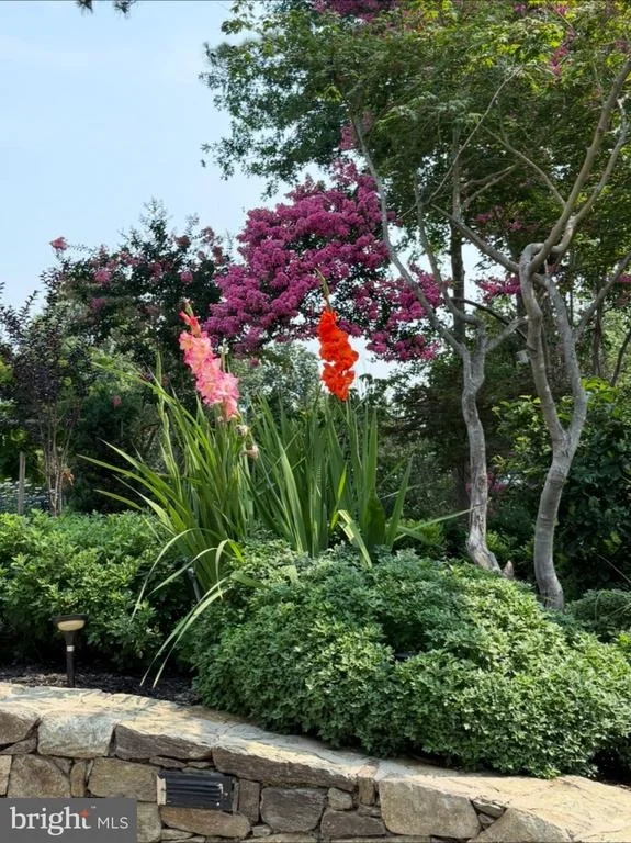 Photo of 11610 KAREN DRIVE