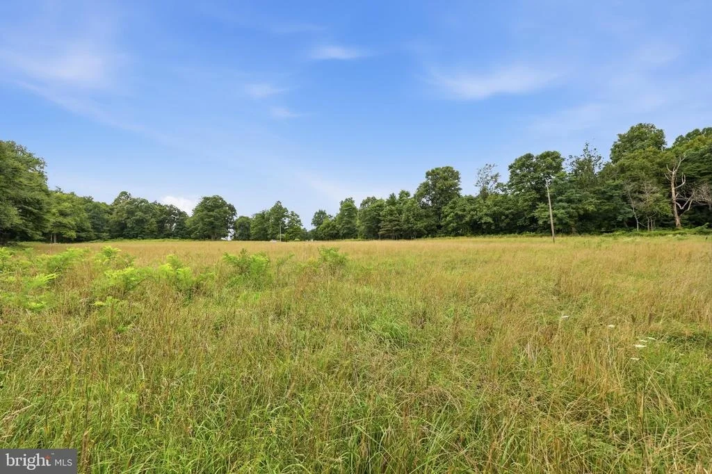 Photo of 14417 RIDENOUR ROAD