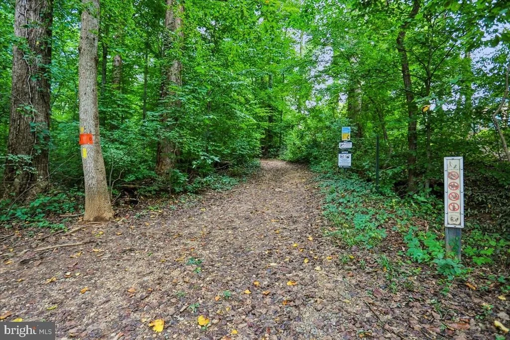 Photo of 899 LINGANORE DRIVE