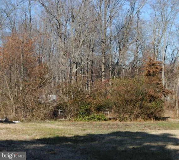 Photo of 24 LYONS WAY