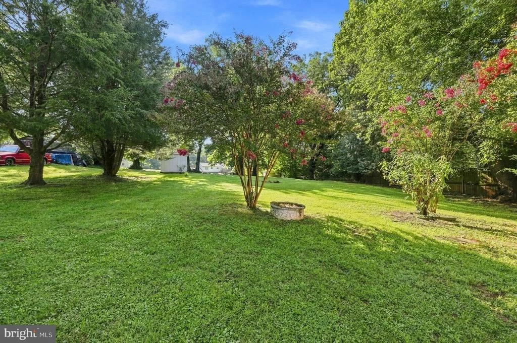 Photo of 61 TAYLOR STREET