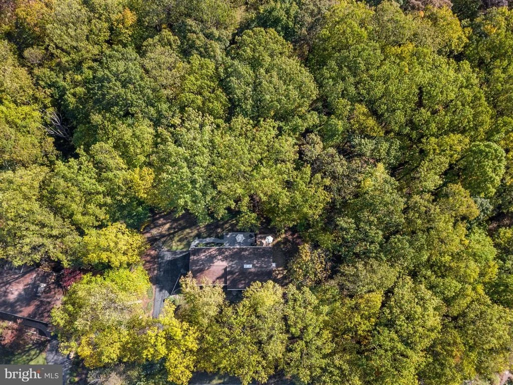 Photo of 17509 SKYLINE DRIVE