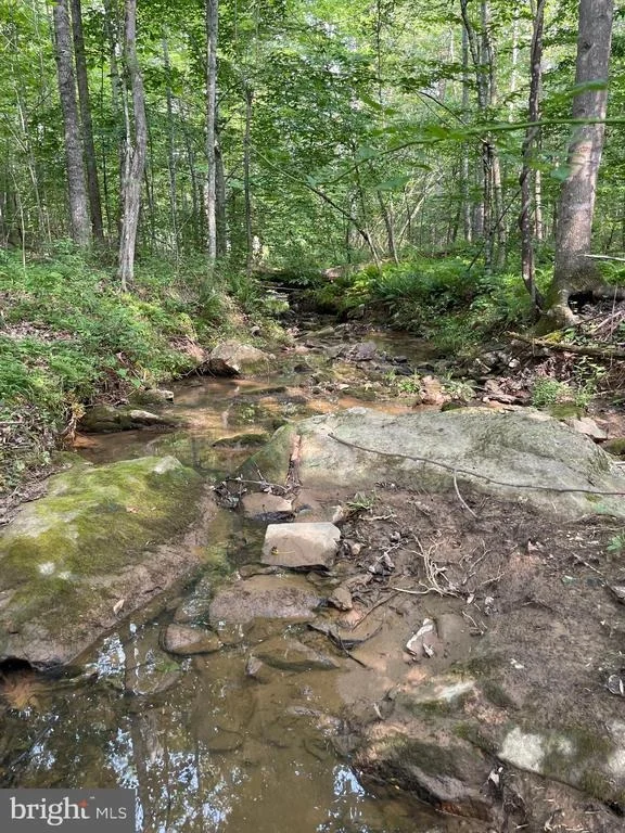 Photo of 1225 MIDDLE RIVER ROAD