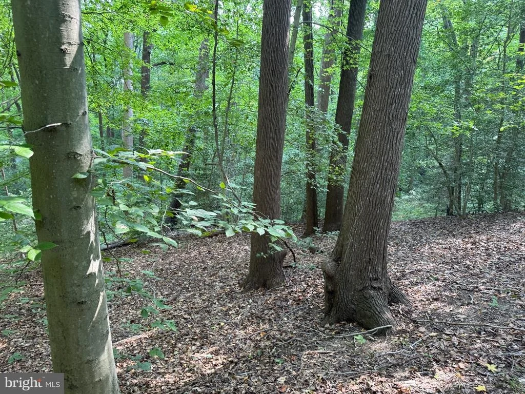 Photo of 4685 CAMP ROOSEVELT DRIVE