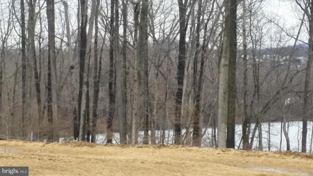 Photo of 5 RAMSDELL COURT
