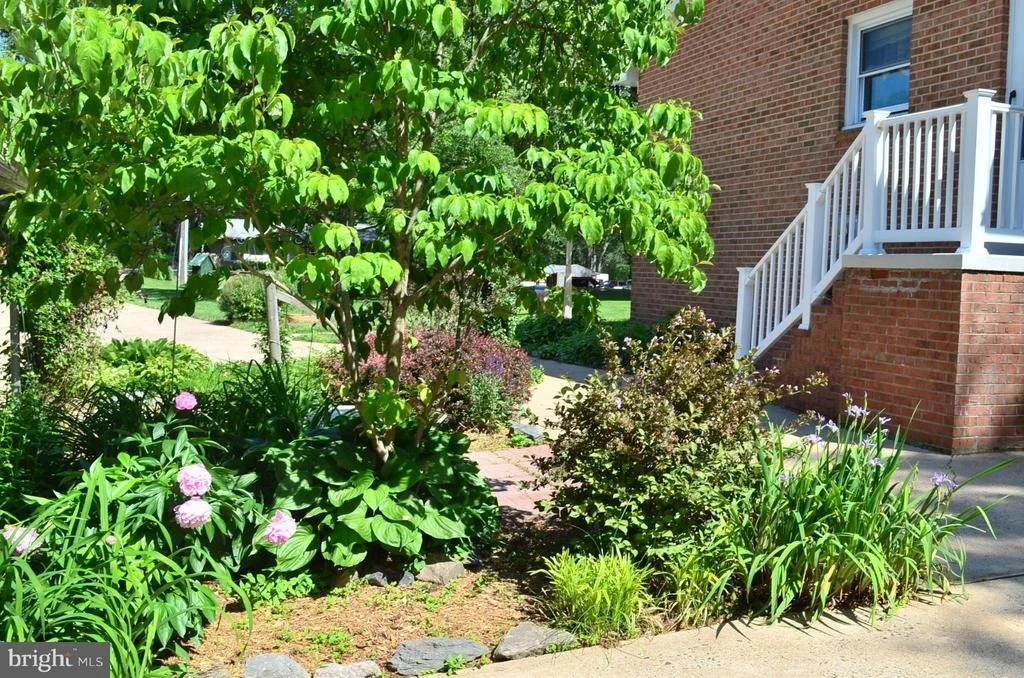 Photo of 11800 BRADLEY FOREST ROAD
