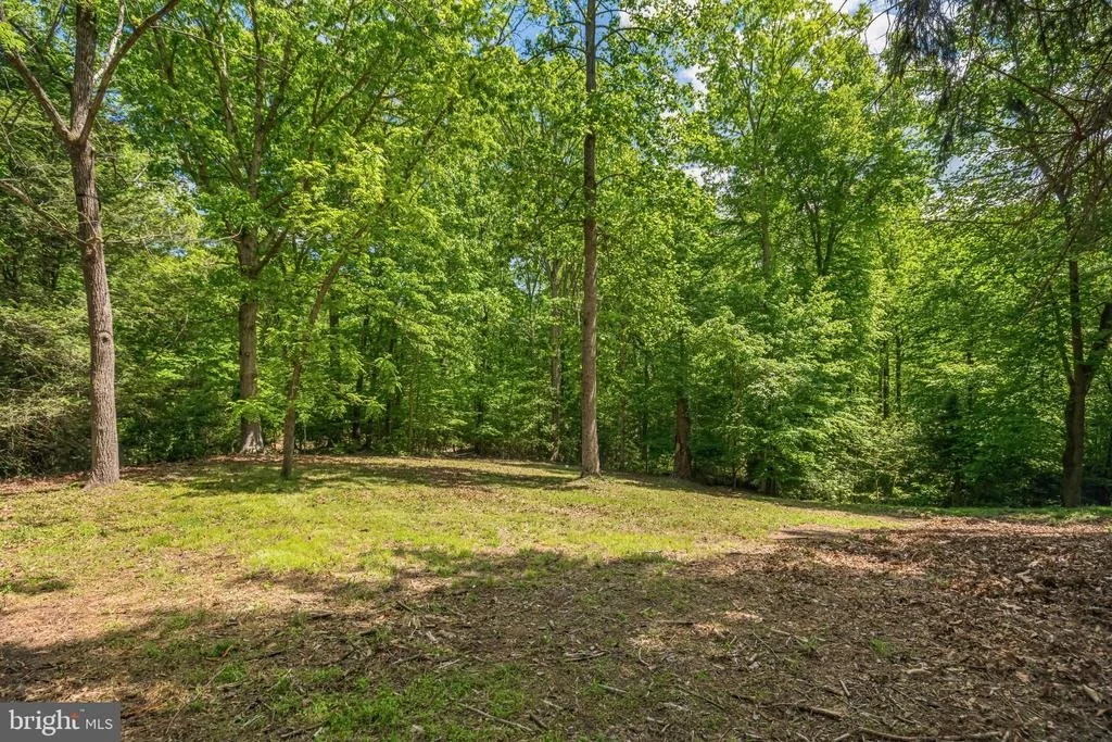 Photo of 11425 MILL BRIDGE ROAD