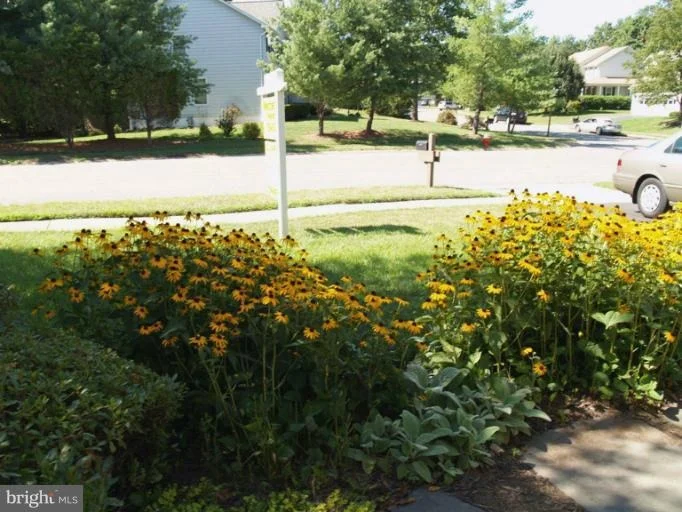 Photo of 43673 SUMMERWOOD CIRCLE