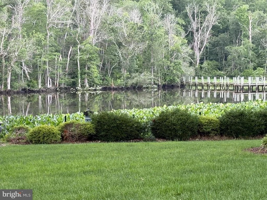 Photo of 30823 DOGWOOD DRIVE