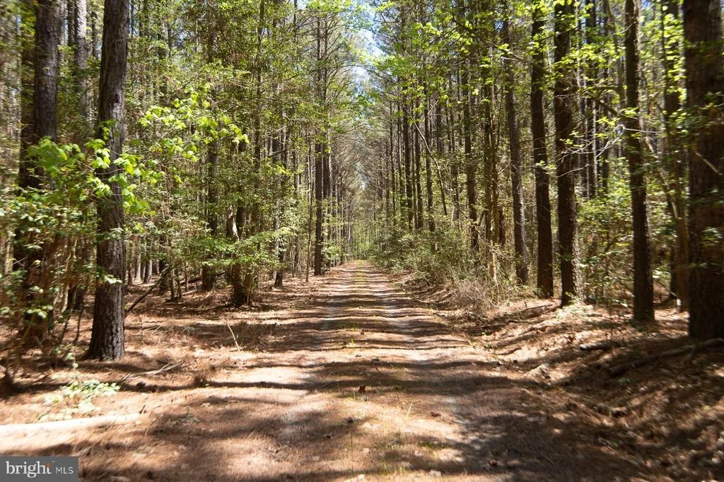 Photo of 5704 ROSS NECK ROAD