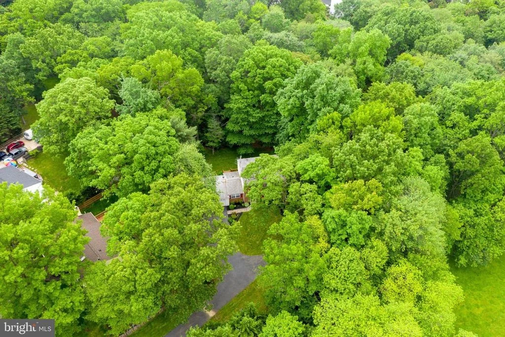 Photo of 8924 ROUNDLEAF WAY