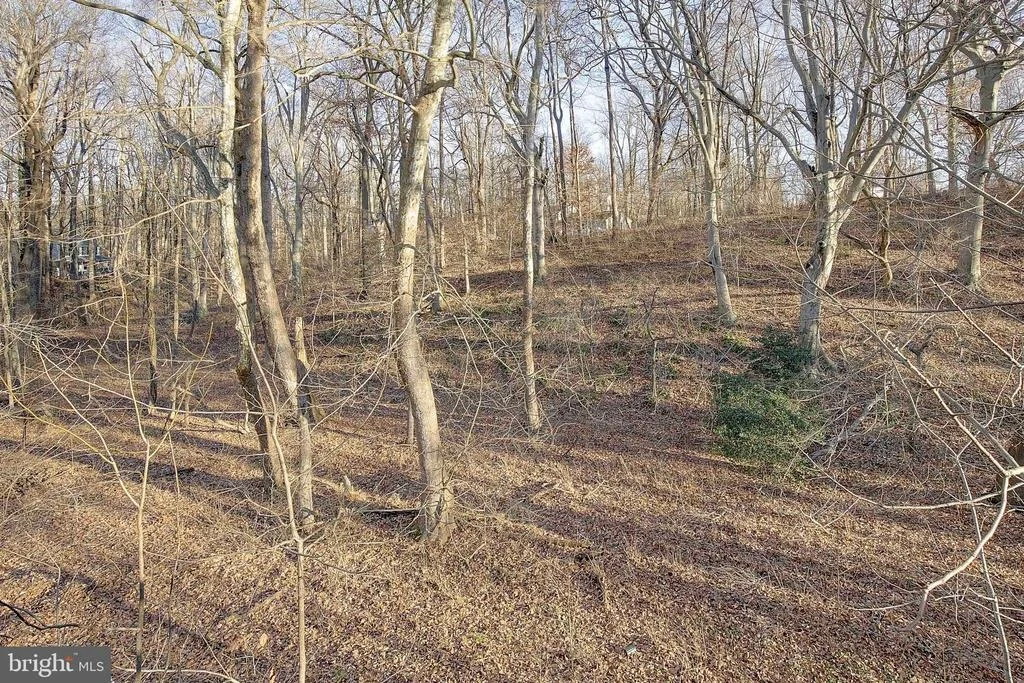 Photo of 1916 WOODED TRACE