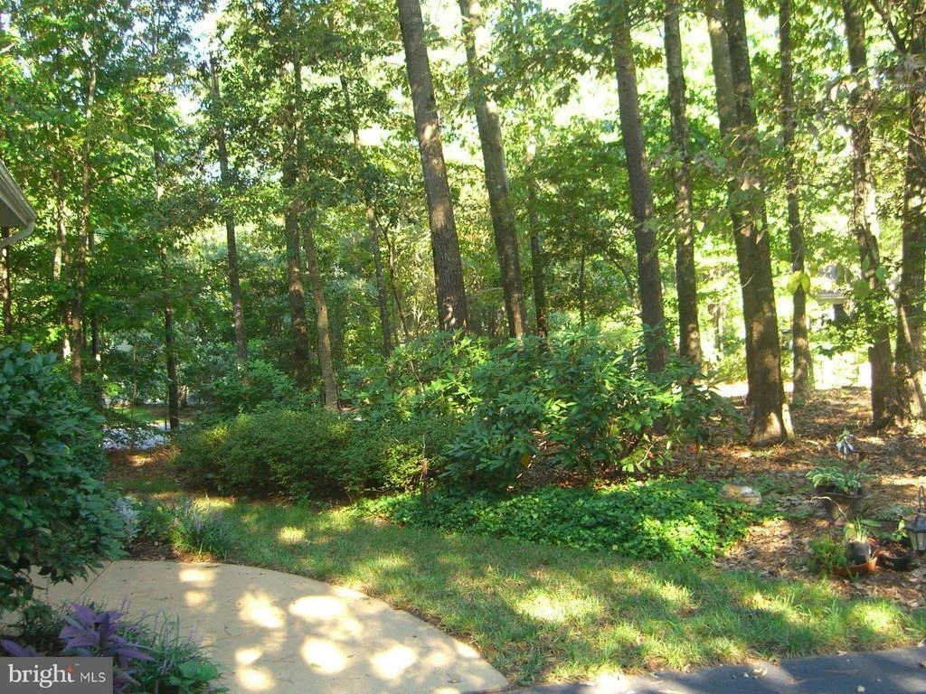 Photo of 43991 SPLIT PINE LANE