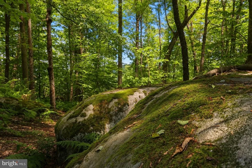 Photo of 94 MOUNTAINTOP ROAD