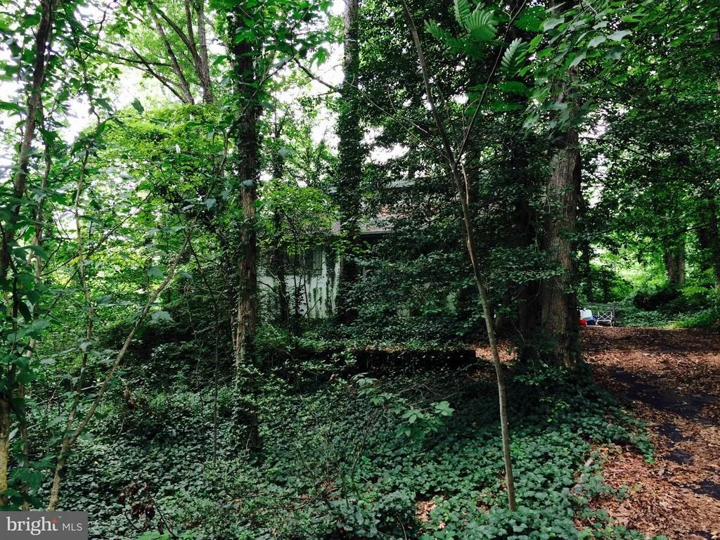 Photo of 6622 ROBIN ROAD