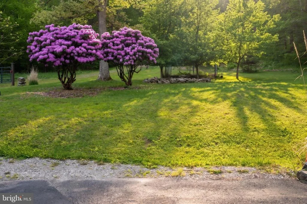 Photo of 253 GLEANINGS DRIVE