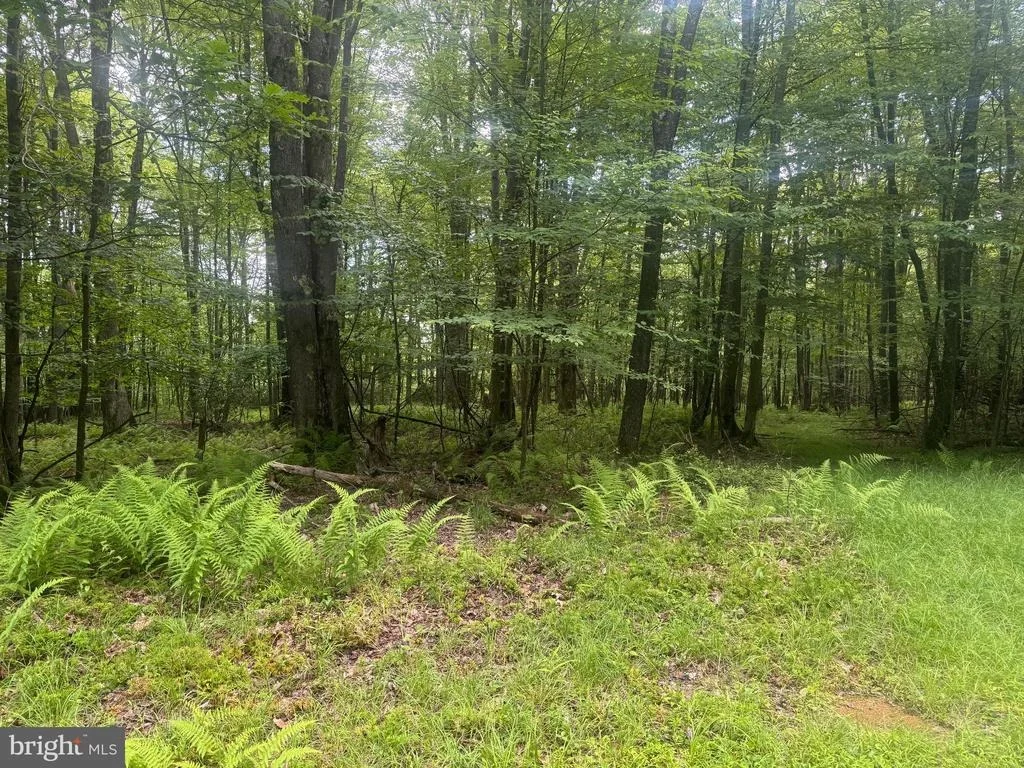 Photo of Lot 18 BUCK DRIVE