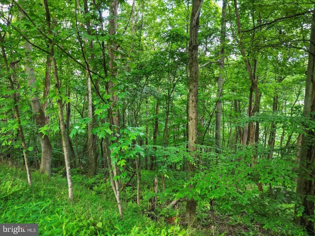 Photo of 611 TIMBER TRAIL