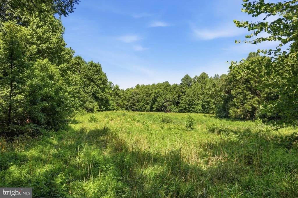 Photo of 13729 MARTIN ROAD