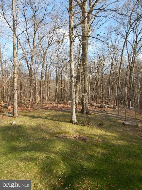Photo of 13103 COLLINGWOOD TERRACE