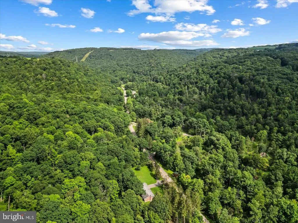 Photo of 3623 BEAR CREEK ROAD