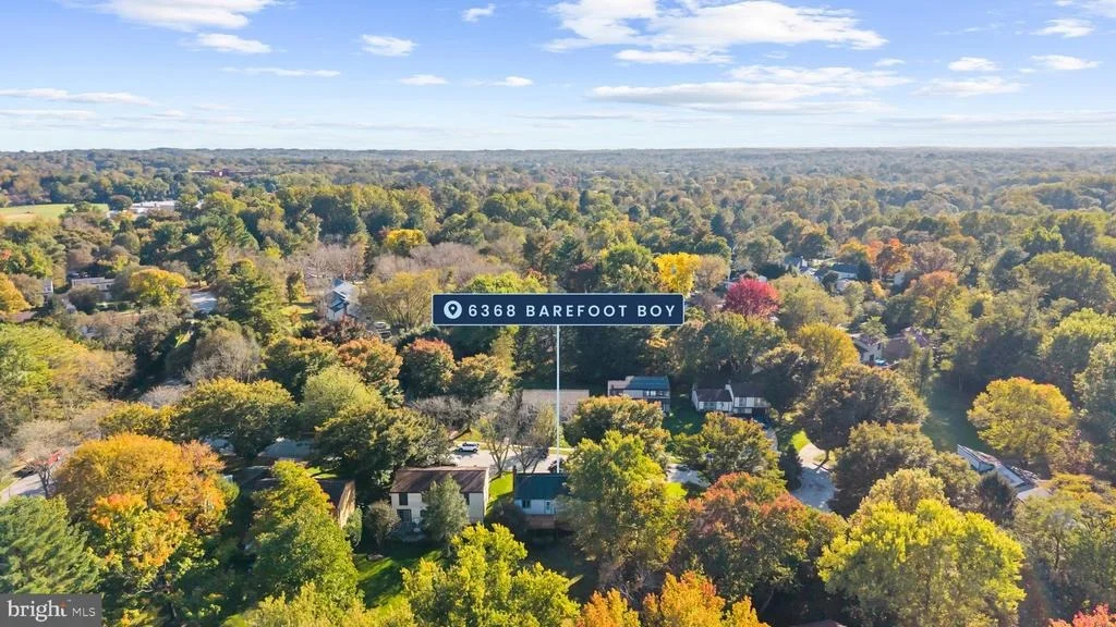 Photo of 6368 BAREFOOT BOY
