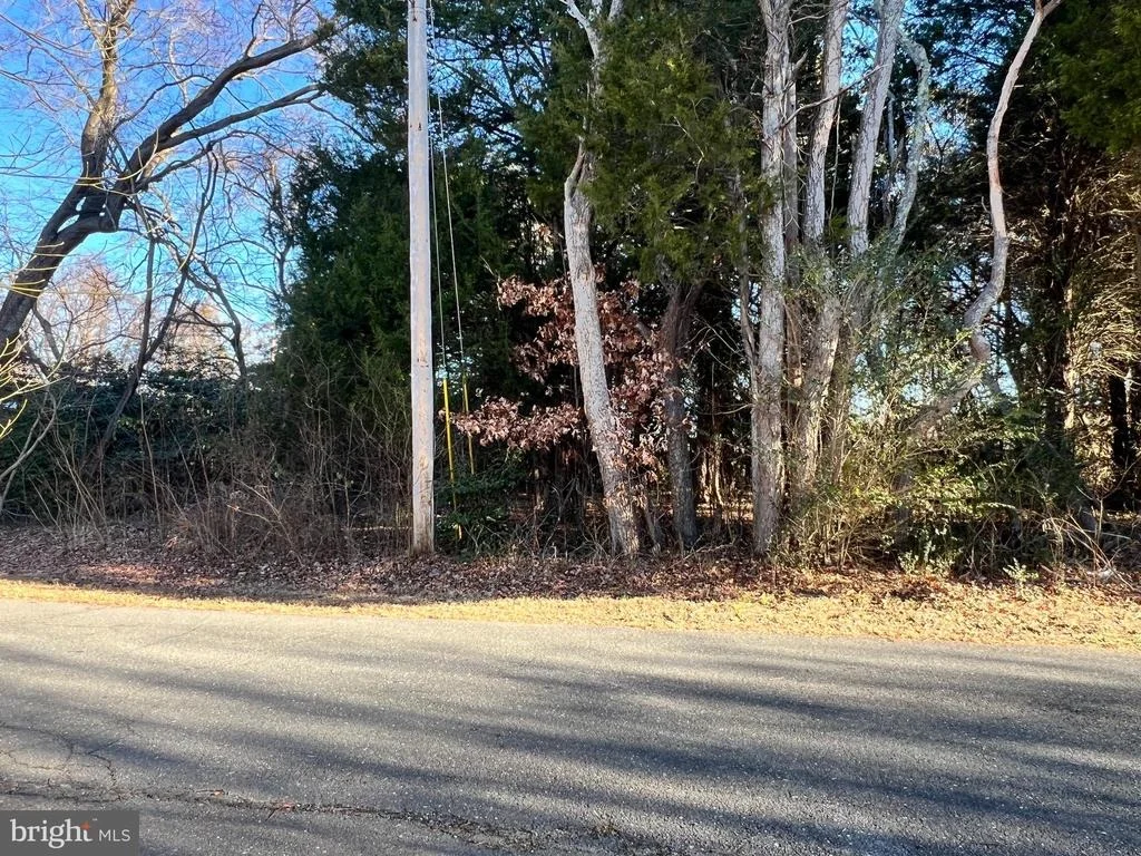 Photo of BAY DR