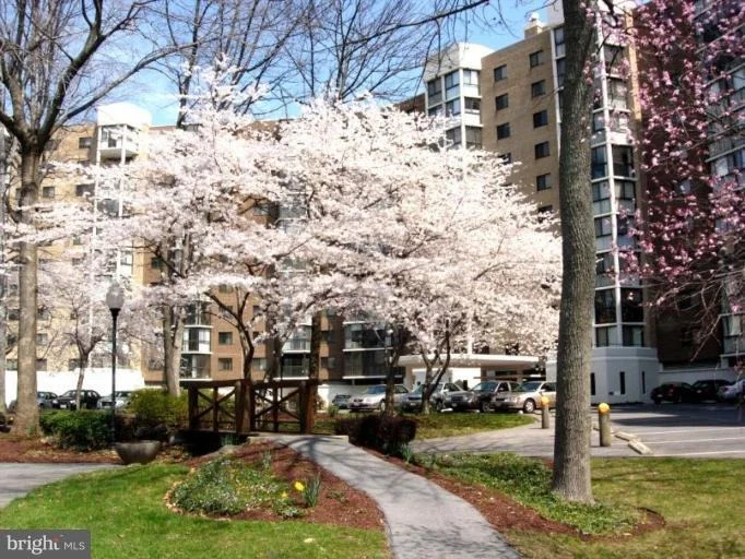 Photo of Unit 21007 at 15107 INTERLACHEN DRIVE