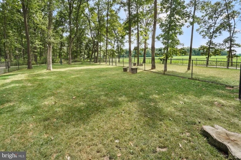 Photo of 374 LIVELY STREAM WAY