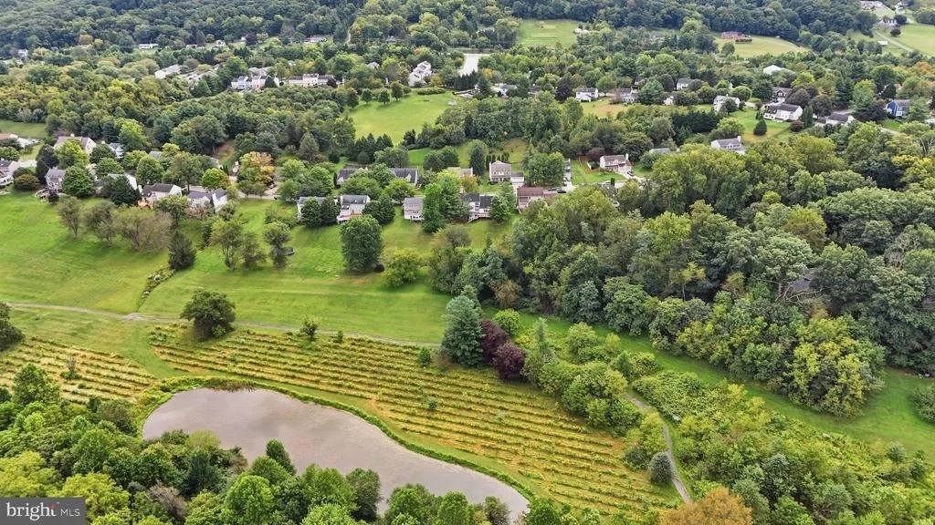 Photo of 376 WINGED FOOT DRIVE
