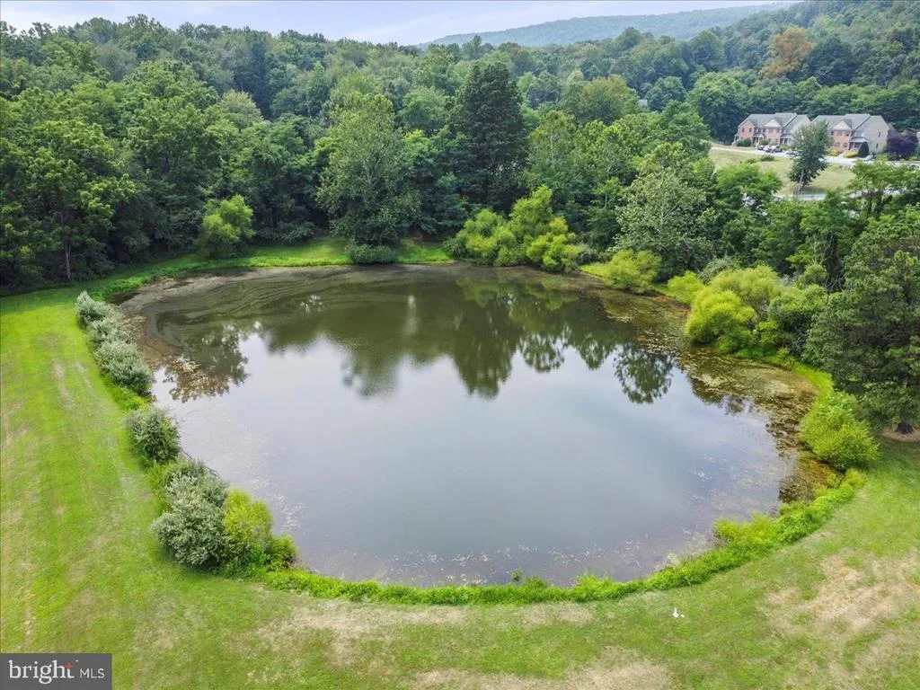 Photo of 14122 MERCERSBURG ROAD