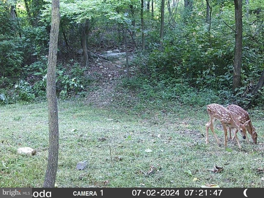 Photo of 11430 NATIONAL PIKE