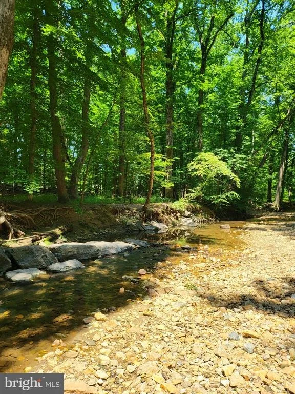Photo of 11213 DEWEY ROAD