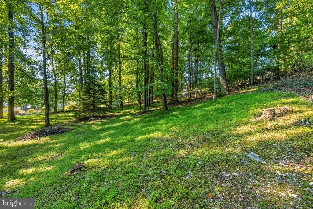 Photo of 9034 HAMBURG ROAD