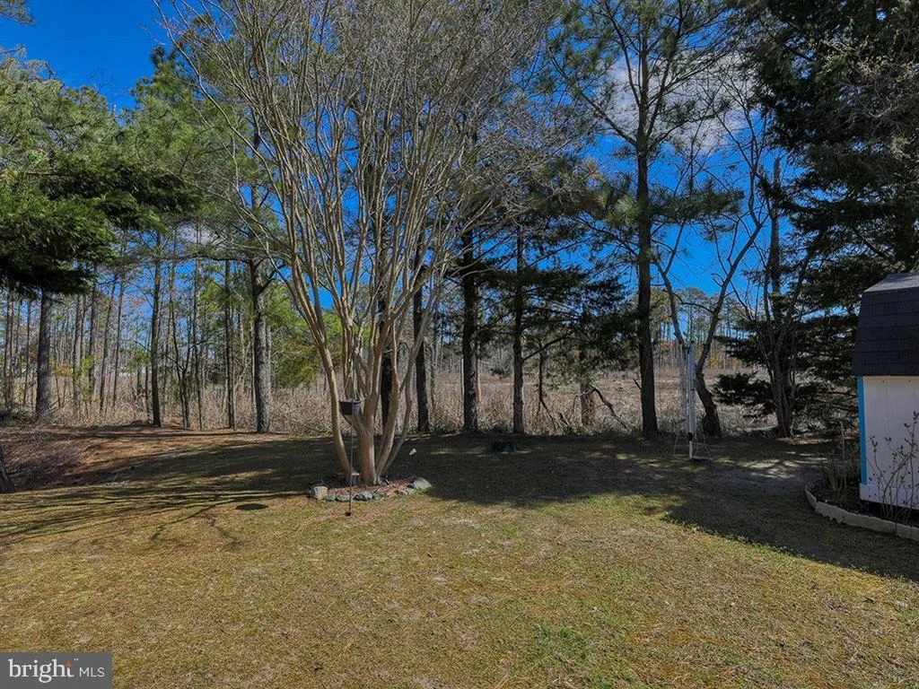 Photo of 35959 JAKE DRIVE