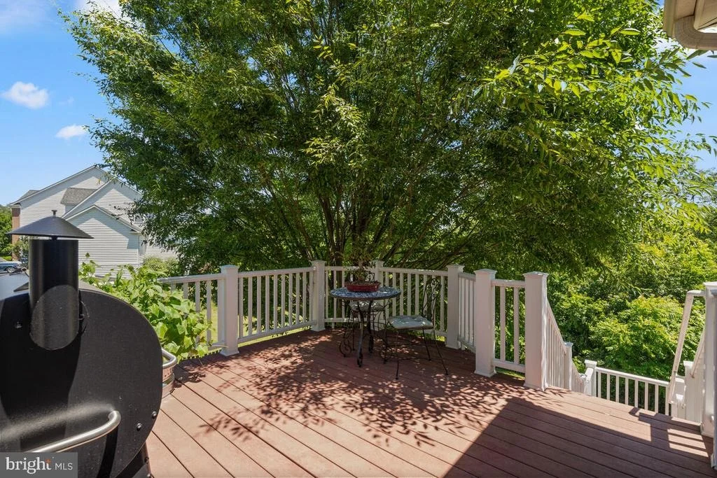 Photo of 13598 SYLVAN BLUFF DRIVE