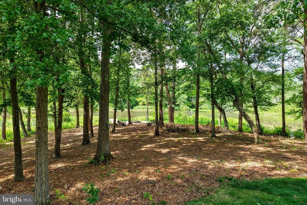 Photo of 6 BLUE HERON DRIVE