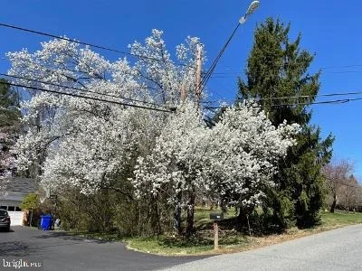 Photo of 224 SPRINGLOCH ROAD