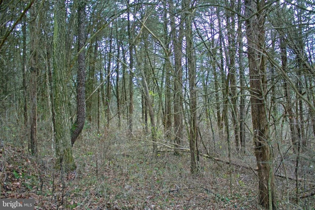 Photo of 8045 AVIS MILL ROAD