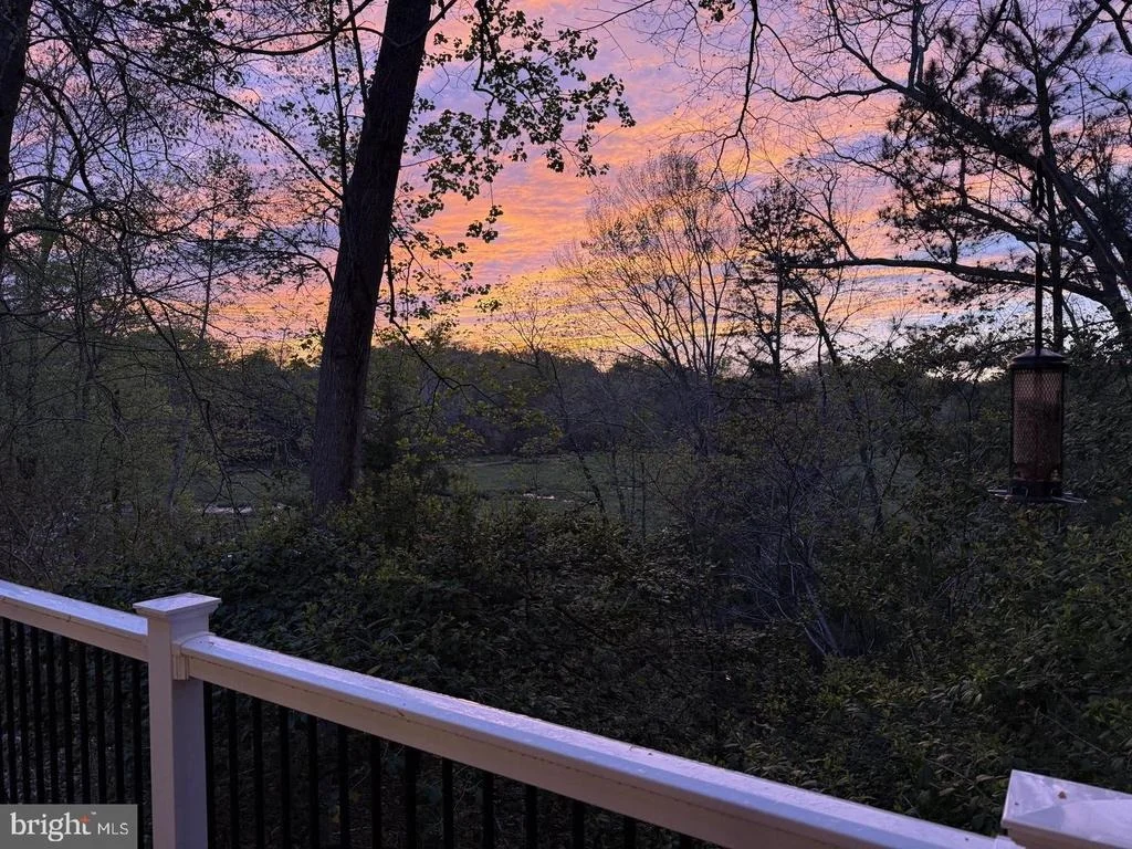 Photo of 20 THE PALISADES