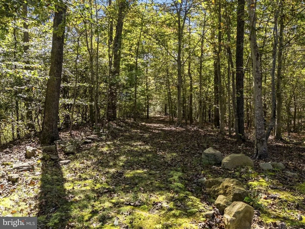 Photo of 8080 DULINS FORD ROAD