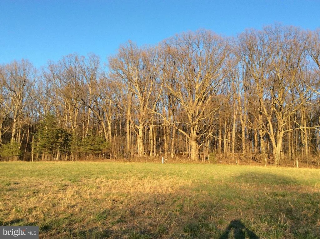 Photo of 11326 DAYSVILLE ROAD