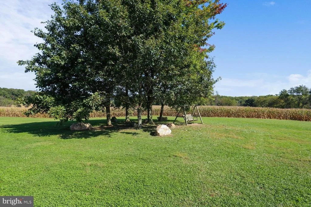 Photo of 205 TULIP DRIVE