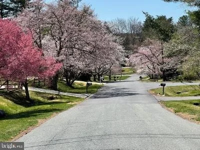 Photo of 224 SPRINGLOCH ROAD
